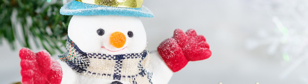 This image has an empty alt attribute; its file name is snowman-banner-1.jpg
